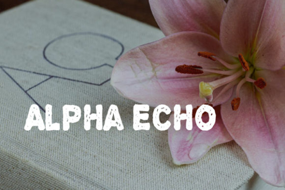 Alpha Echo: A Bold Display Font for Creative Branding