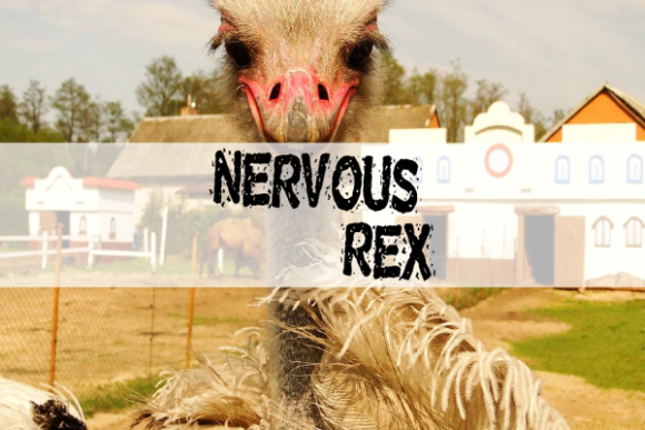Nervous Rex Font for Handmade Creations
